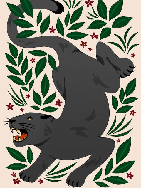 Ruta Pantera photo album