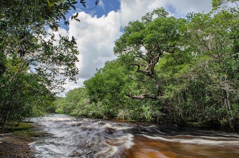 Ruta Pantera Travel Image