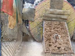 Photo5