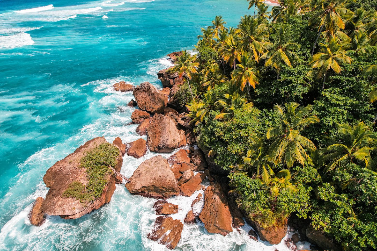 The Caribbean